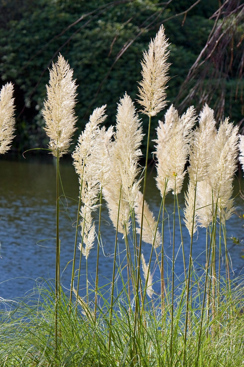 Gardening for Nature Lovers: Creating a Wildlife-Friendly Haven