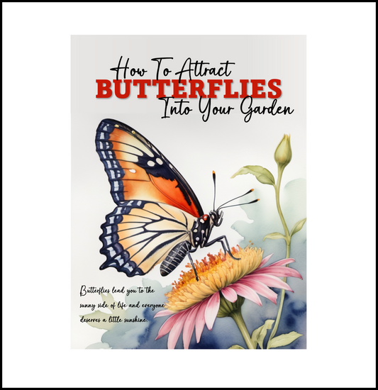 How To Attract Butterflies Into Your Garden