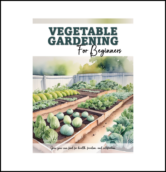 Vegetable Gardening For Beginners